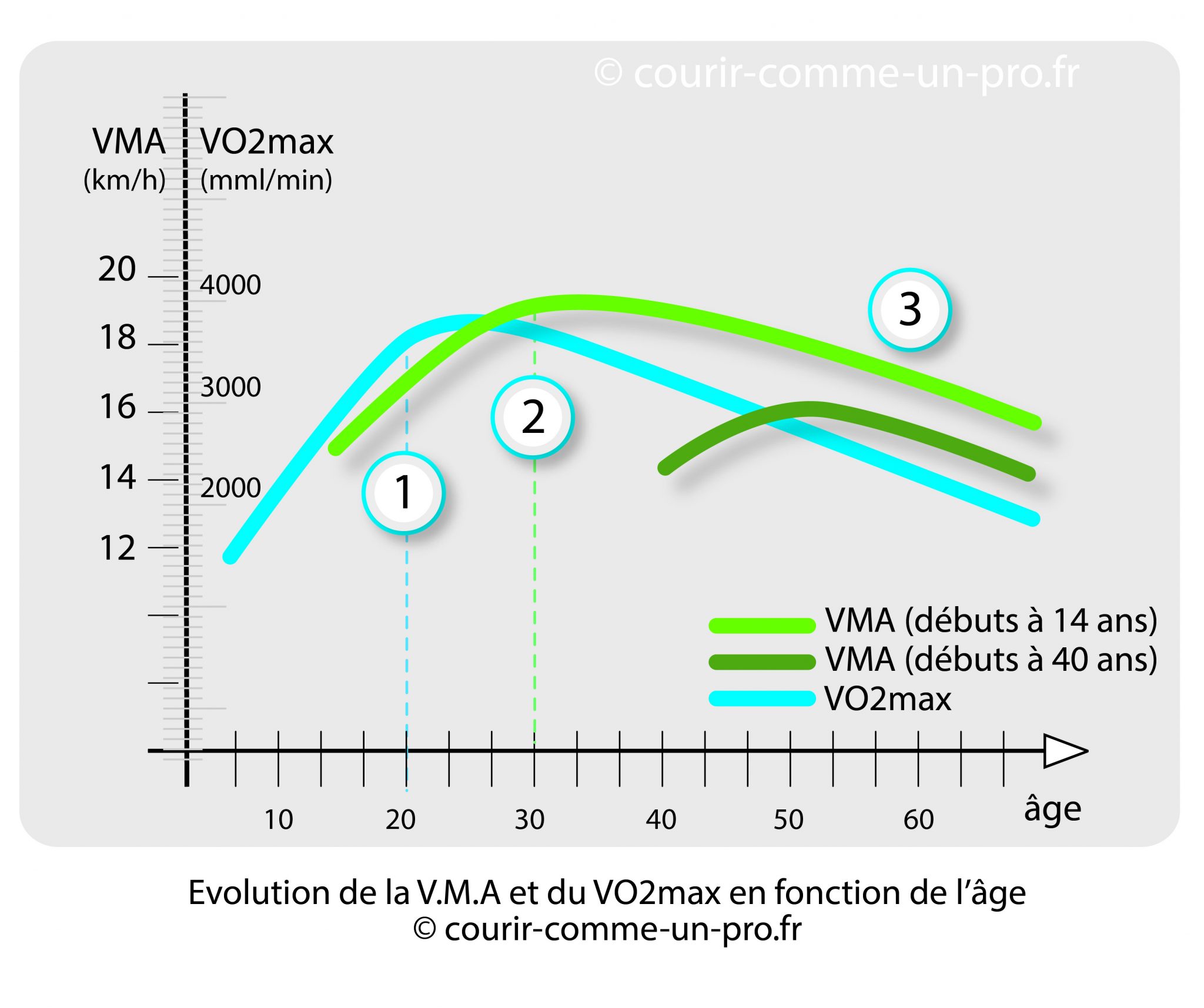 Comprendre La Vma Et Le Vo2 Max Vma Premier Marathon Hot Sex Picture