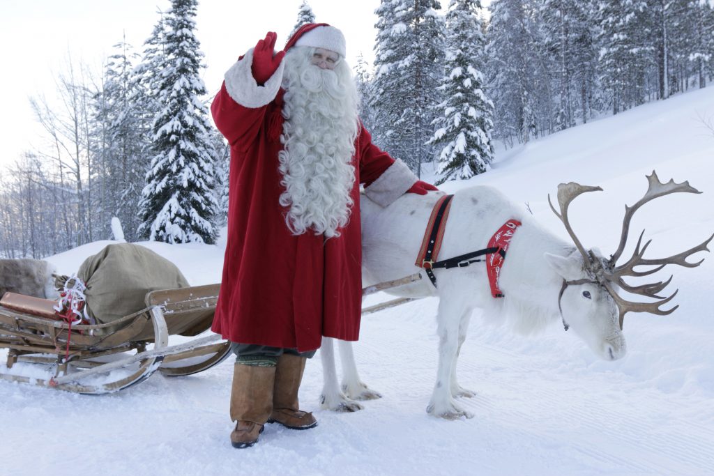 Un renne du père Noël en Laponie